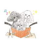 My Dog Stickers -coco,moca,MIRU-（個別スタンプ：1）