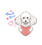 My Dog Stickers -coco,moca,MIRU-（個別スタンプ：2）