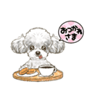 My Dog Stickers -coco,moca,MIRU-（個別スタンプ：4）