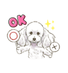 My Dog Stickers -coco,moca,MIRU-（個別スタンプ：5）