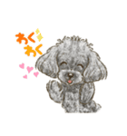 My Dog Stickers -coco,moca,MIRU-（個別スタンプ：6）