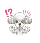 My Dog Stickers -coco,moca,MIRU-（個別スタンプ：7）