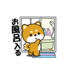 動く！豆柴「いま何してる？」（個別スタンプ：21）