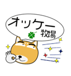 柴犬★吹き出し 大人 敬語（個別スタンプ：1）