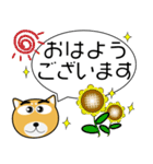 柴犬★吹き出し 大人 敬語（個別スタンプ：4）