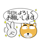 柴犬★吹き出し 大人 敬語（個別スタンプ：5）