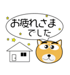 柴犬★吹き出し 大人 敬語（個別スタンプ：8）