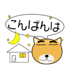 柴犬★吹き出し 大人 敬語（個別スタンプ：9）