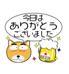 柴犬★吹き出し 大人 敬語（個別スタンプ：12）