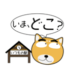 柴犬★吹き出し 大人 敬語（個別スタンプ：15）