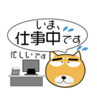 柴犬★吹き出し 大人 敬語（個別スタンプ：16）