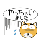 柴犬★吹き出し 大人 敬語（個別スタンプ：18）