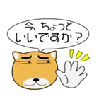 柴犬★吹き出し 大人 敬語（個別スタンプ：27）