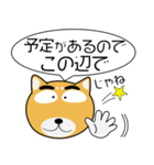 柴犬★吹き出し 大人 敬語（個別スタンプ：34）