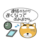 柴犬★吹き出し 大人 敬語（個別スタンプ：36）