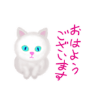 【動く】君に寄りそう白猫シロちゃん（個別スタンプ：1）