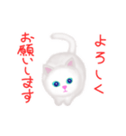 【動く】君に寄りそう白猫シロちゃん（個別スタンプ：7）