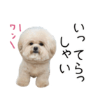 これでも犬です（個別スタンプ：15）