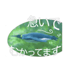 [今なにしてる？]動物好きに送るスタンプ（個別スタンプ：5）