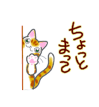 和風猫＜今の状況お伝えします＞（個別スタンプ：5）