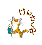 和風猫＜今の状況お伝えします＞（個別スタンプ：8）