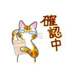 和風猫＜今の状況お伝えします＞（個別スタンプ：10）