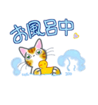 和風猫＜今の状況お伝えします＞（個別スタンプ：20）