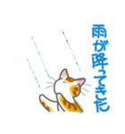 和風猫＜今の状況お伝えします＞（個別スタンプ：27）