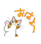 和風猫＜今の状況お伝えします＞（個別スタンプ：37）