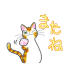 和風猫＜今の状況お伝えします＞（個別スタンプ：40）