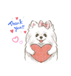 My Dog Stickers -POMEMI-（個別スタンプ：1）