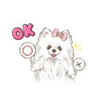 My Dog Stickers -POMEMI-（個別スタンプ：3）