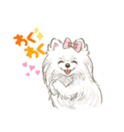 My Dog Stickers -POMEMI-（個別スタンプ：5）