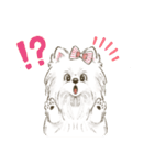 My Dog Stickers -POMEMI-（個別スタンプ：6）