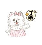 My Dog Stickers -POMEMI-（個別スタンプ：11）