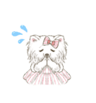 My Dog Stickers -POMEMI-（個別スタンプ：12）