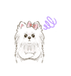 My Dog Stickers -POMEMI-（個別スタンプ：14）