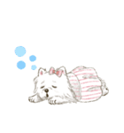 My Dog Stickers -POMEMI-（個別スタンプ：16）