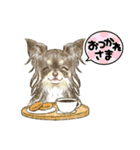 My Dog Stickers-mochaちゃん-（個別スタンプ：3）