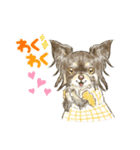 My Dog Stickers-mochaちゃん-（個別スタンプ：5）