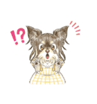 My Dog Stickers-mochaちゃん-（個別スタンプ：6）