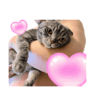 ふたりのねこすたんぷ3パパと一緒（個別スタンプ：3）