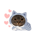 ふたりのねこすたんぷ3パパと一緒（個別スタンプ：5）