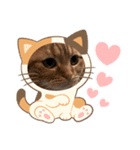 ふたりのねこすたんぷ3パパと一緒（個別スタンプ：6）