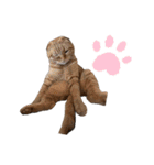 ふたりのねこすたんぷ3パパと一緒（個別スタンプ：8）