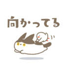 こねことことり、何してる？（個別スタンプ：19）