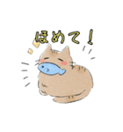 ゆるねこ日常（個別スタンプ：10）