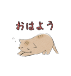 ゆるねこ日常（個別スタンプ：17）