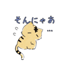 ゆるねこ日常（個別スタンプ：19）