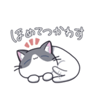 がんばった？ ねこちゃん（個別スタンプ：3）